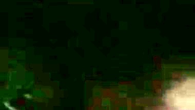 Young cock sucking desi slut